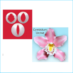 FMM Cutter Cymbidium Orchid Set 3