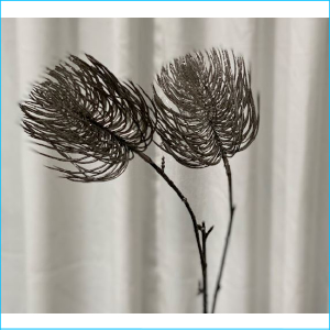 Stem Leucospermum Silver 68cm