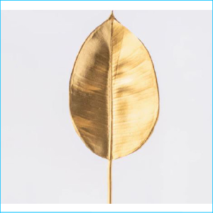 Stem Anthirium Leaf Gold