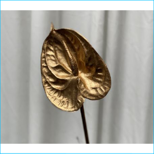 Stem Anthirium Flower Gold