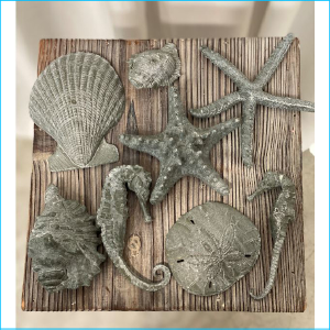 Starfish Shell Collection PK 8 XX776BK