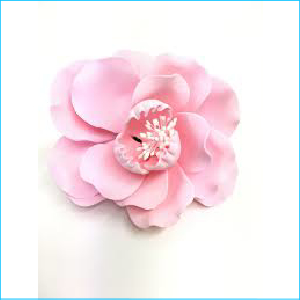 Sugar Flower Pink Dog Rose White Stamen