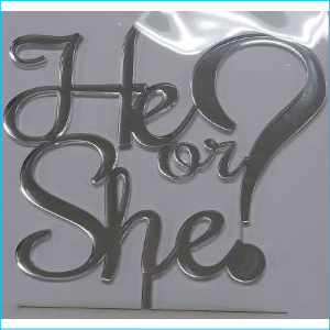 Cake Topper He or She? Silver