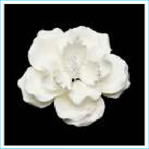 Sugar Flower White Dog Rose White Stamen