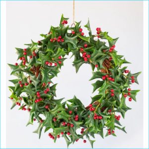 Wreath Fresh Cut Holly 50cm