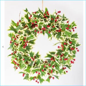 Wreath Fresh Cut Holly Variegated 50cm