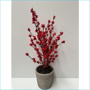 Potted Berry Plant 55cm