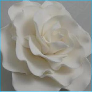 Sugar Flower White Madam Rose Large 11cm