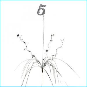 Spray Silver Number 5