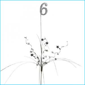 Spray Silver Number 6