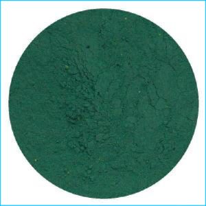 Rolkem Dust Dark Green RS 10g