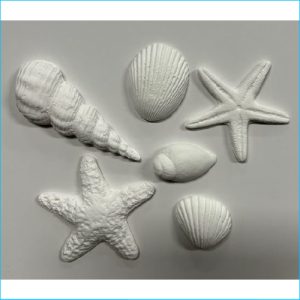Sugar Decoration White Seashells Set 8