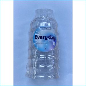 Clear Ice Cream Cups Pk 6